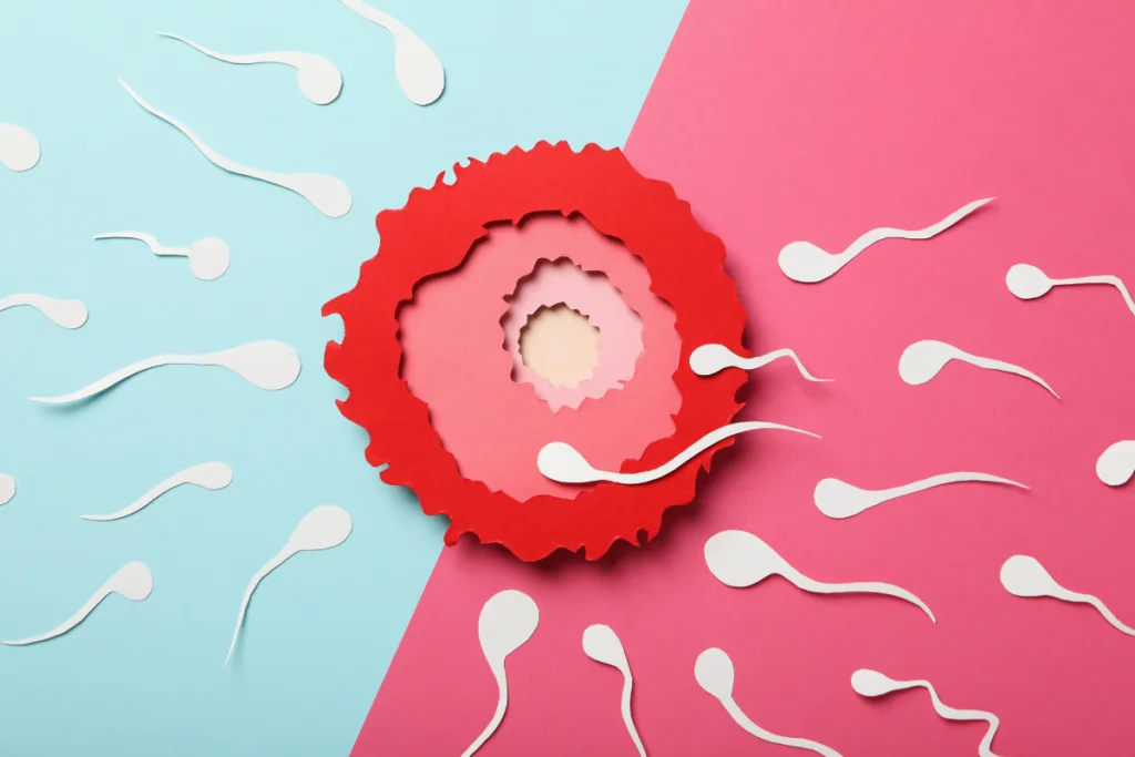 Ovulation Induction at best-ivf-centre-in-srinagar