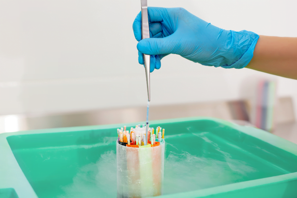 Frozen Embryo Transfer
