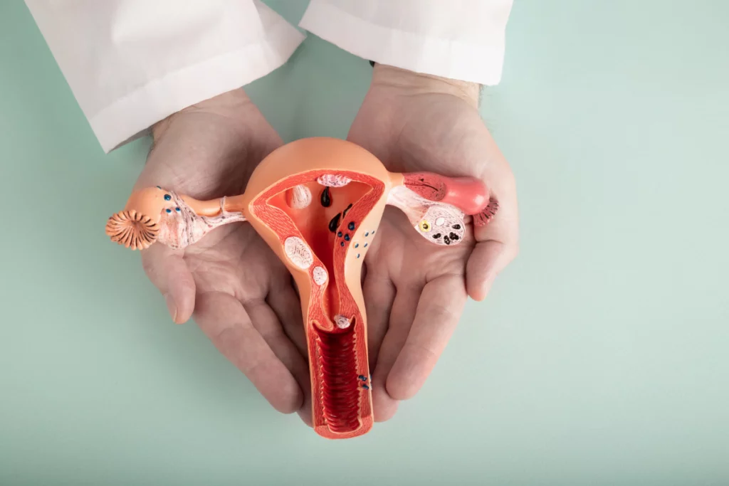 Hysteroscopy – Advanced Fertility Diagnostics in Srinagar