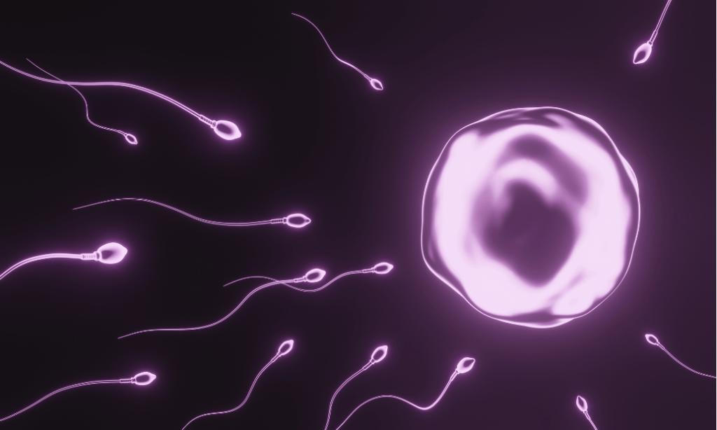 Improve Sperm Morphology and Count for Better Fertility