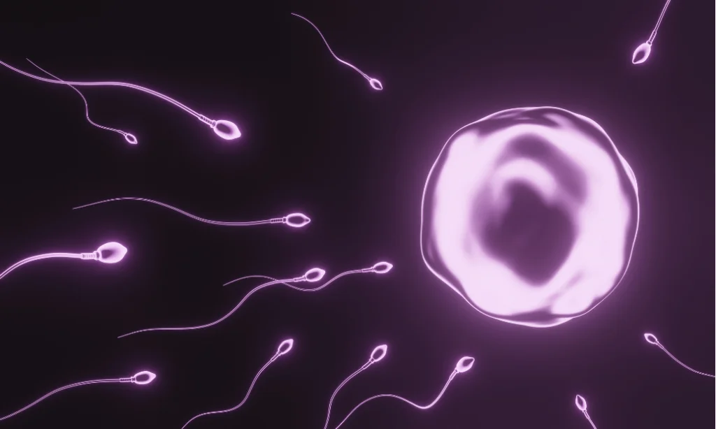 Improve Sperm Morphology and Count for Better Fertility