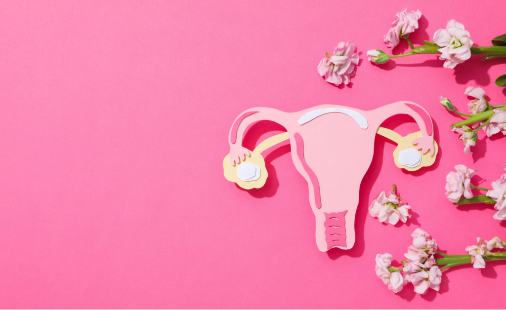 Uterus Health : Normal Size, Abnormalities, and Treatments