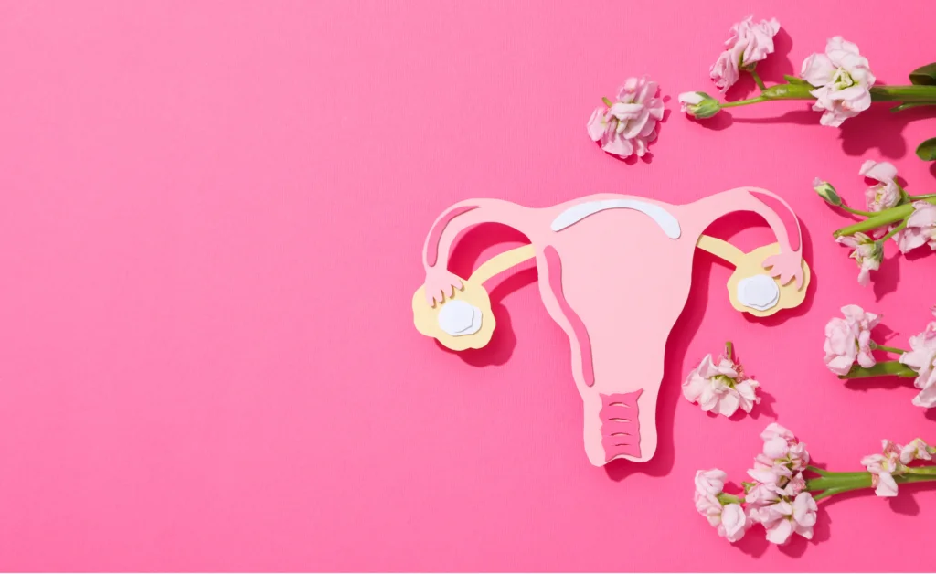 Uterus Health : Normal Size, Abnormalities, and Treatments