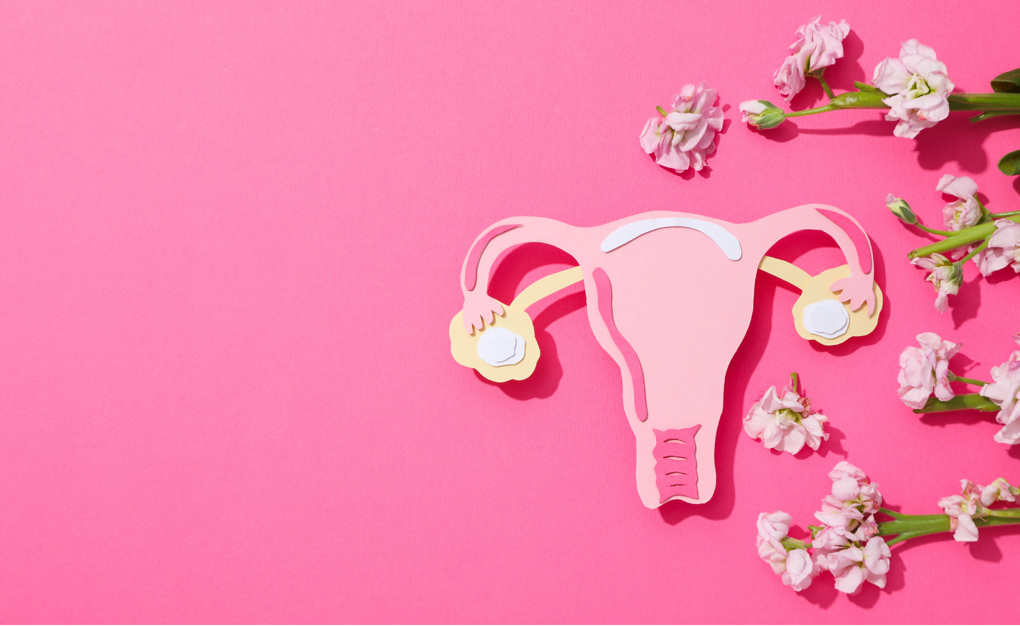 Uterus Health Normal Size, Abnormalities, and Treatments