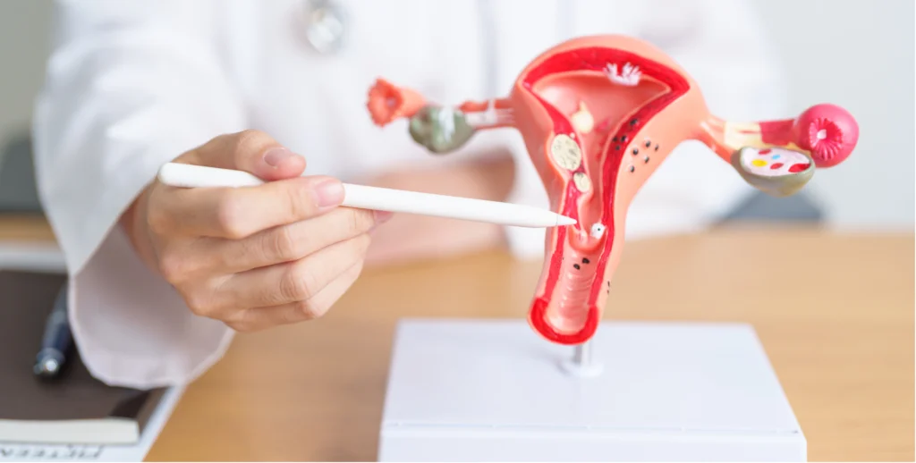 Natural Ways to Improve Uterine Health