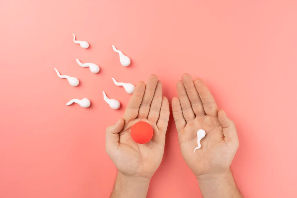 IVF Success Tips- Boost Your Chances of Conception